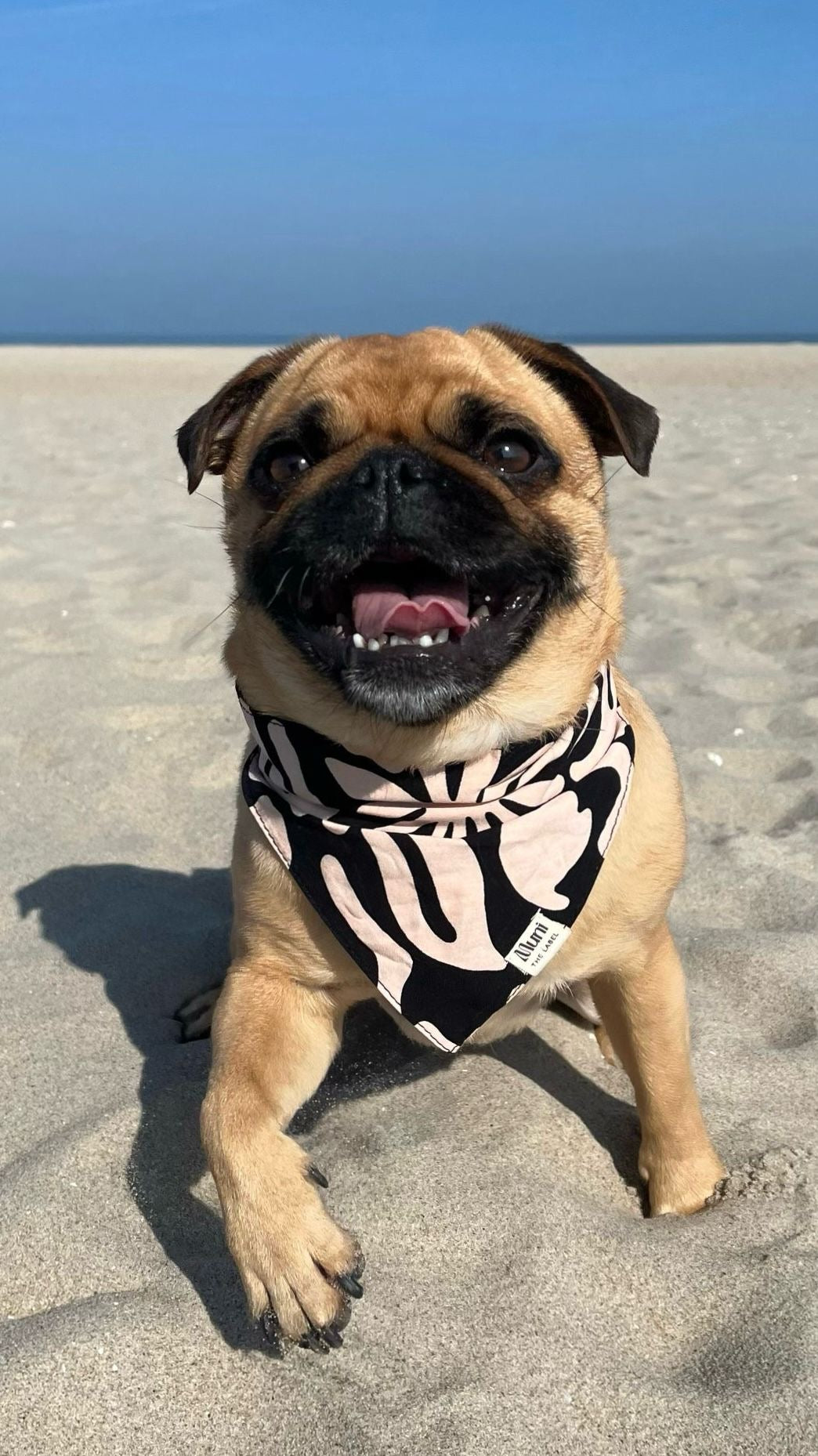 HONDEN BANDANA'S